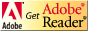 Выбор версии Adobe Reader для загрузки